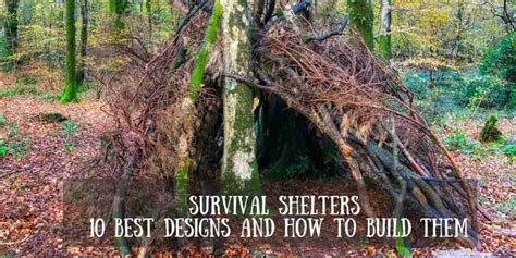Image result for Different Types of Survival Shelters