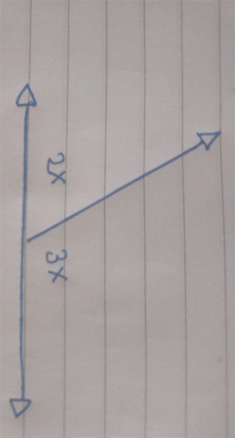 find the value of x - Brainly.in