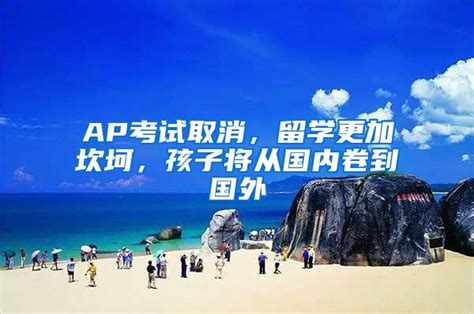 AP考试取消，留学更加坎坷，孩子将从国内卷到国外_应届生落户_上海落户流程