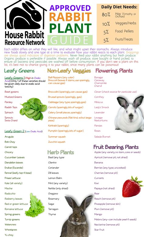 What do Rabbits Eat | Rabbit Diets | House Rabbit Resource Network