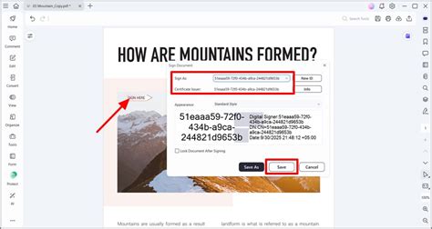 Guide to the Digital Signature Timestamp: Its Value and How to Add It