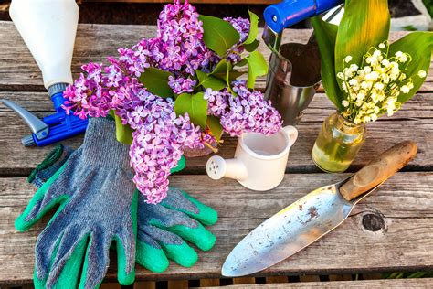 Squirrel Repellent Plants: What Plants Keep Squirrels Away?