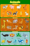 Image result for Wild Baby Bunny Age Chart