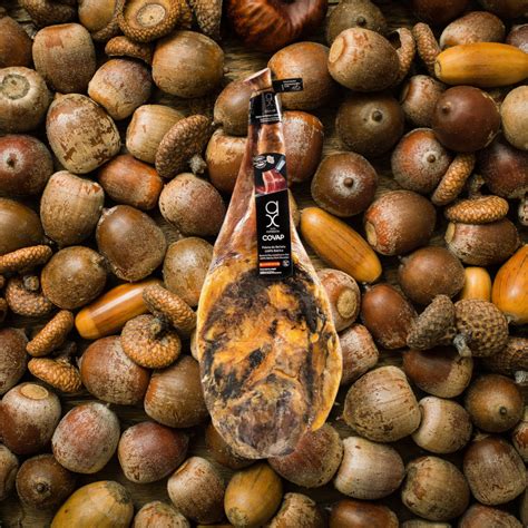 Shop Spanish Tapas Collection Online – Dos Olivos Markets