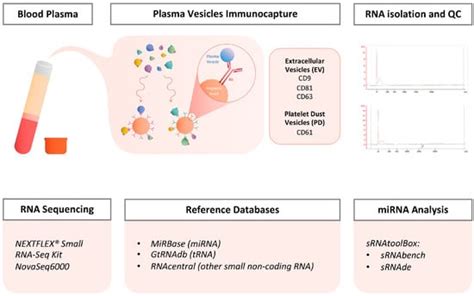 Non-Coding RNA | An Open Access Journal from MDPI