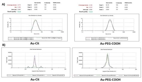 CD133-Functionalized Gold Nanoparticles as a Carrier Platform for ...