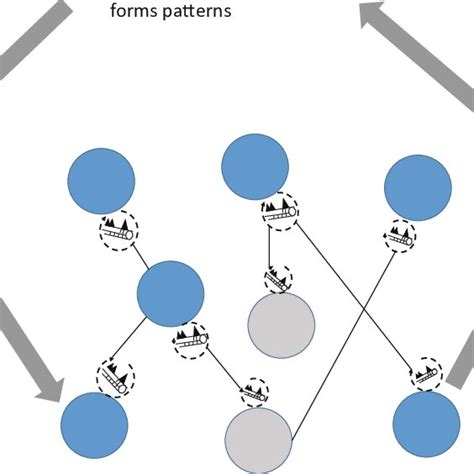 Image result for Complex Adaptive System Examples