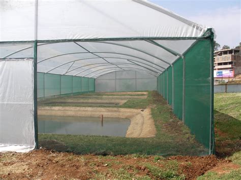 Small Fish Farm 的图像结果