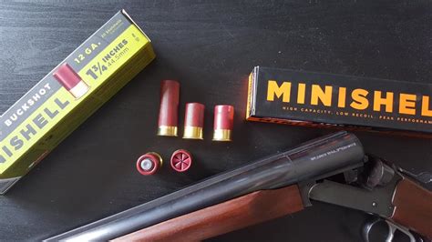 Image result for Do 12 Mini Shells