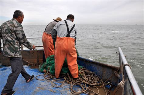 全球捕鱼数逼近渔业可持续发展极限值|过度捕捞_新浪财经_新浪网