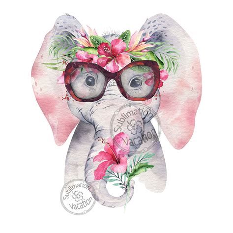 Image result for Free Sublimation Design Programs