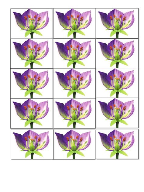 Image result for HTML Class Bunga