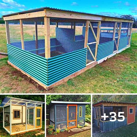 35 Cheap and Easy Chicken Coops for Your Hens
