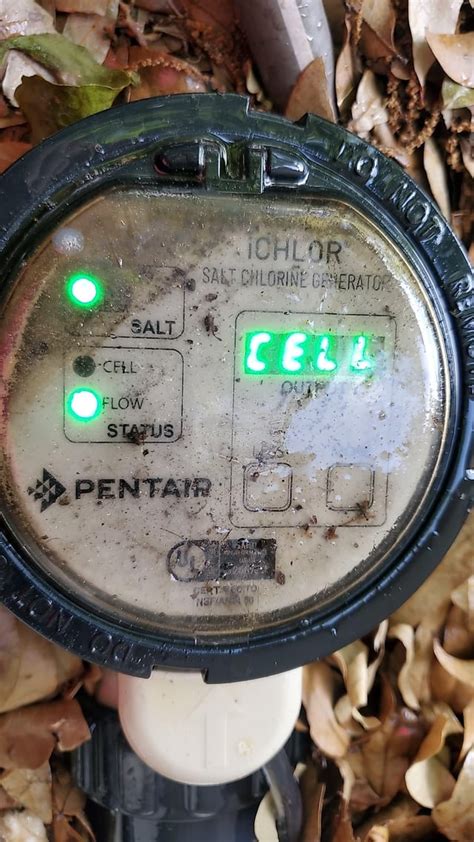 Clean IntelliChlor Cell 的图像结果