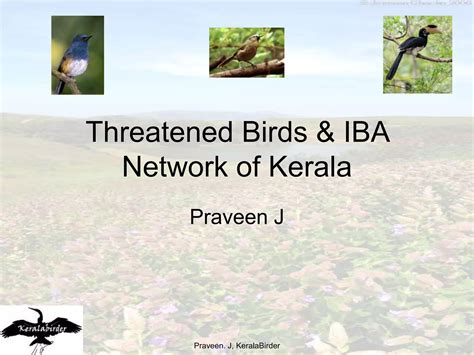 Threatened Birds & IBA Network of Kerala | PPT