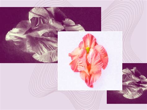 Labia Minora Changes: What Happens During Menopause and Why