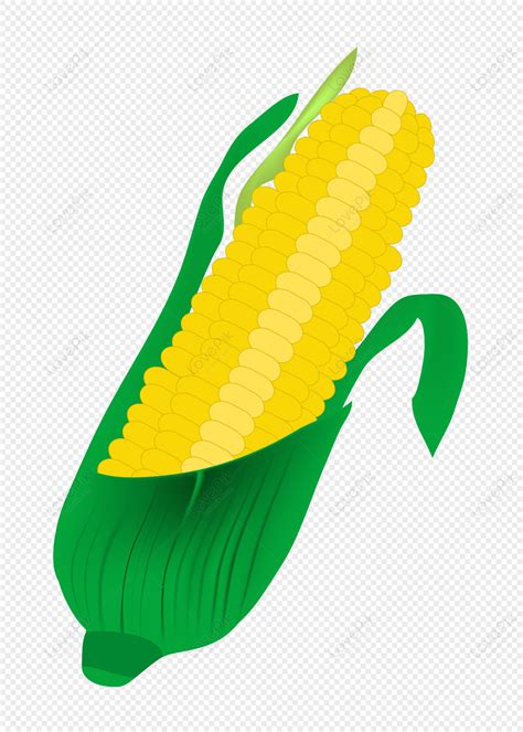 Corn Cob Clip Art Stock Illustrations – 263 Corn Cob Clip Art - Clip ...