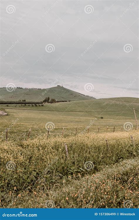 Rustic Scenery 的图像结果