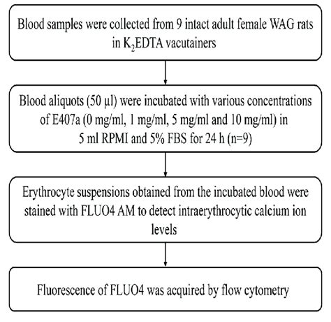 Image result for Study Design Types
