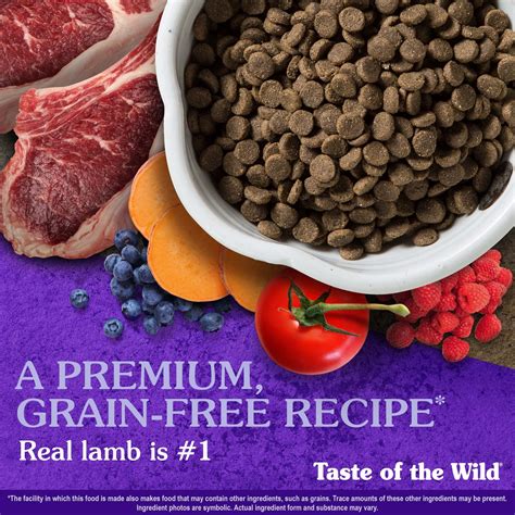 Does Dog Meat Taste Like Mutton