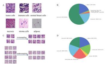 Biomolecules and Biomedicine