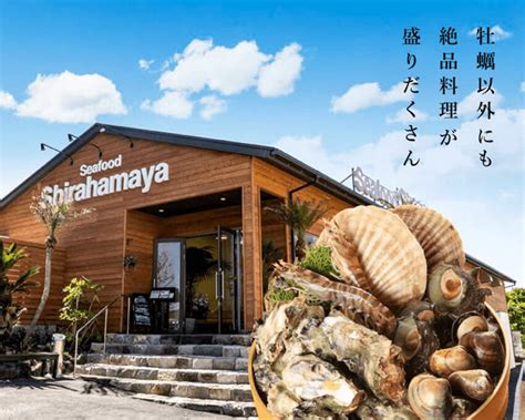 Itoshima | Shiraito Falls & Forest Cafe & Totoro Forest & Grilled ...