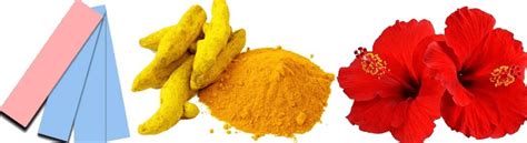 Acids, Bases and Salts Class 7 Notes Science Chapter 2 Free PDF