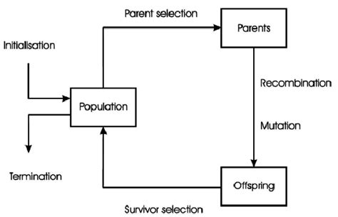 Image result for Python Evolutionary Algorithm