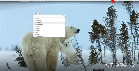 必应上的热点 的图像结果