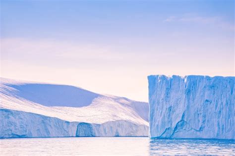 Image result for Davos Meeting 2025