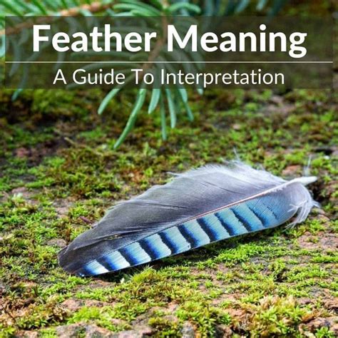 Image result for Python Script Icon Blue Feather