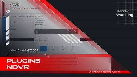 System Video Recorder 的图像结果