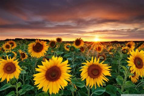 Inside Computer Desktop Wallpaper 的图像结果