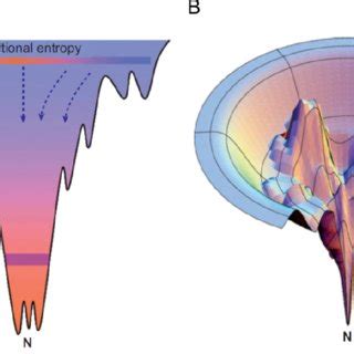 Protein Evolution Landscape 的图像结果