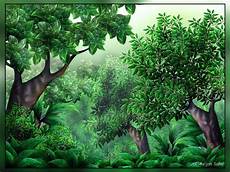 Free Jungle Clipart by Free Jungle Clip Pictures Clipartix Free Jungle Clipart