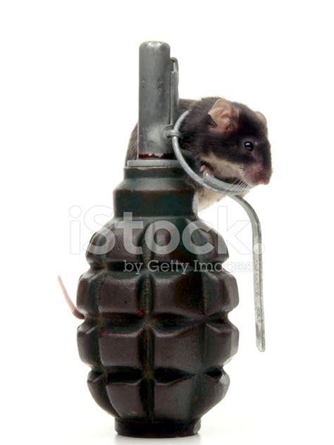 Image result for Exploding Mouse Trap