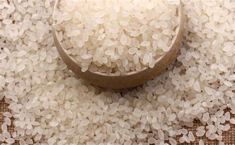 香米和粳米哪个好,粳米跟普通大米哪个好,粳米和籼米哪个好吃_大山谷图库