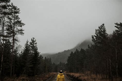 Rear view of a woman in a yellow windbreaker standing in a misty forest ...