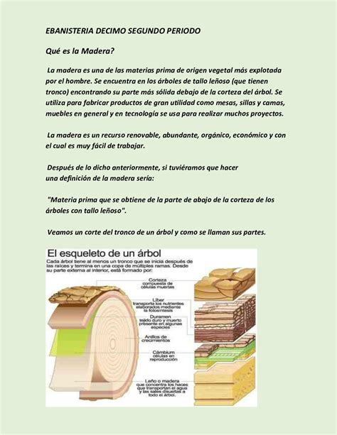 Propiedades fundamentales de la madera y su relación con la temperatura