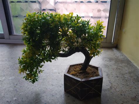 Buy Hyperboles Artificial Bonsai Plant with Wooden Pot (Yellow) Online ...