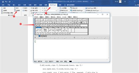 Word MathType 的图像结果