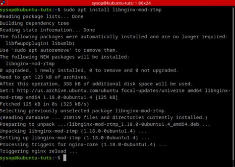 Image result for Nginx Stat Rtmp