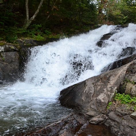 SKELETON LAKE FISH HATCHERY TRAIL - All You Need to Know BEFORE You Go ...