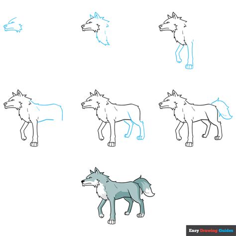 Image result for How to Draw Wolves