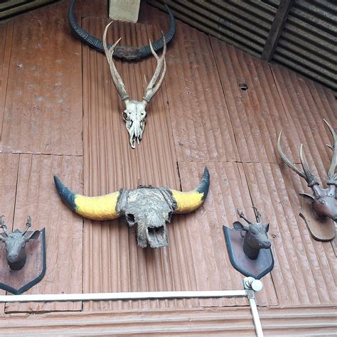 KHONOMA VILLAGE (2026) All You Need to Know BEFORE You Go (with Photos ...