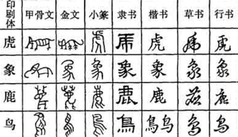 【涨姿势】一读就错的116个汉字-新华网