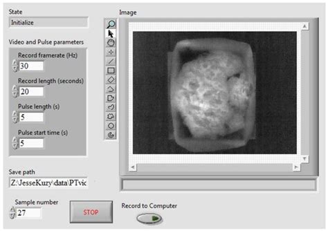 A Pulsed Thermographic Imaging System for Detection and Identification ...