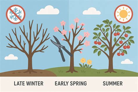 Cherry Tree Pruning: When and How to Cut for Maximum Yield