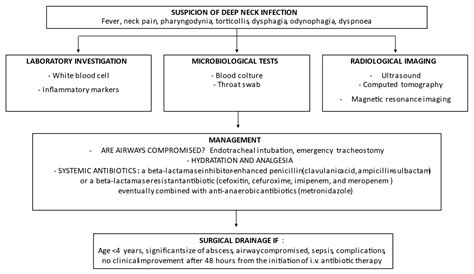 Retropharyngeal, Parapharyngeal and Peritonsillar Abscesses