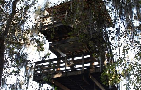 PAYNES PRAIRIE PRESERVE STATE PARK (2026) All You Need to Know BEFORE ...